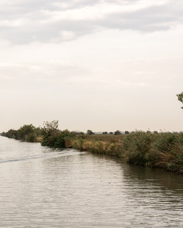 Lateral Canal Water Study